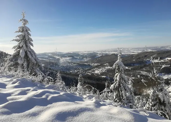 Ingrid Alfes * Lennestadt