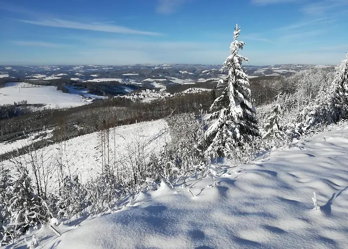 Ingrid Alfes Lejlighed *