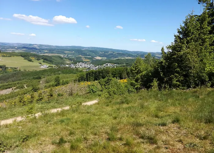 Ingrid Alfes Lennestadt