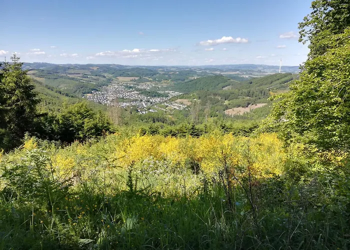 Ingrid Alfes * Lennestadt