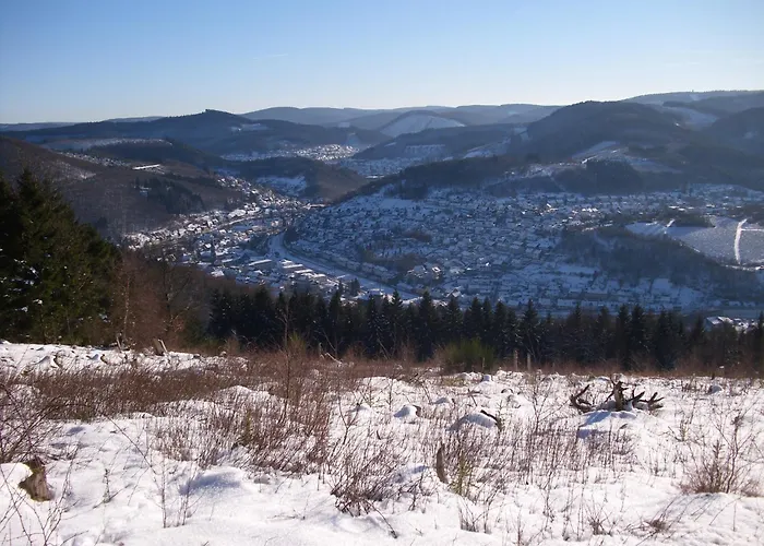 Ingrid Alfes Lejlighed