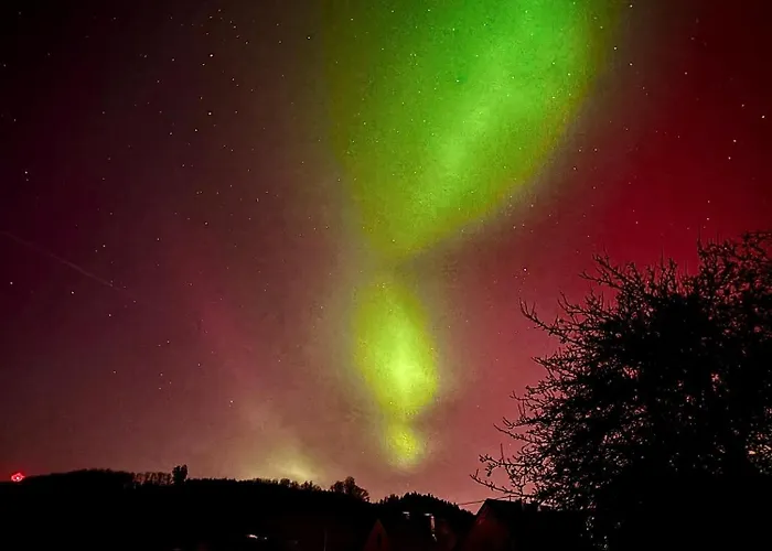 Lejlighed Ingrid Alfes